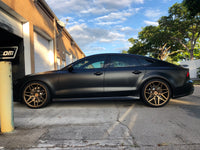 Shadow Black
